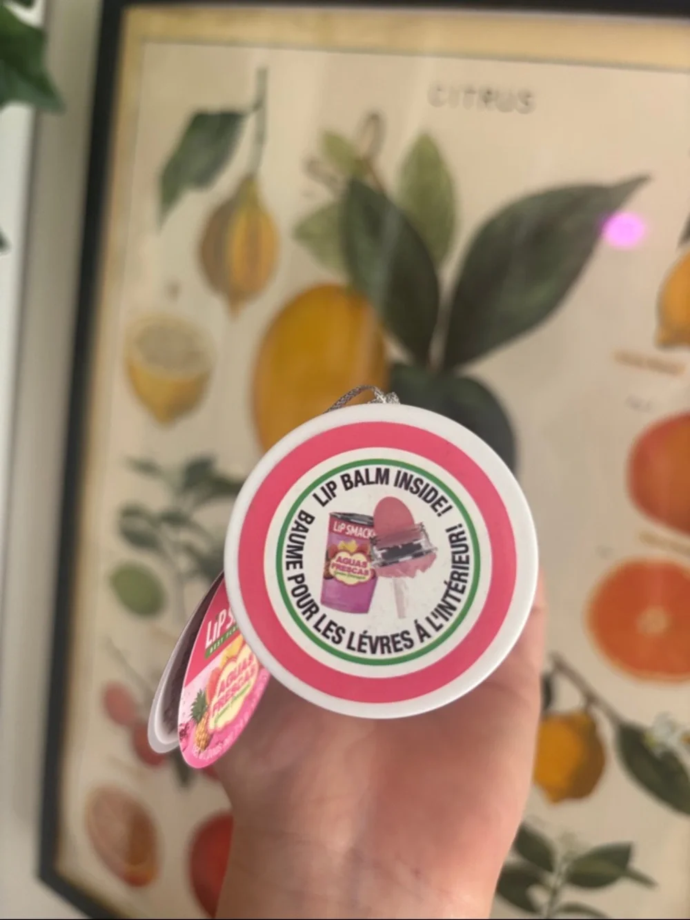 Aguas Frescas Guava Pineapple -Sorbet Hydrating Lip Balm — Pink